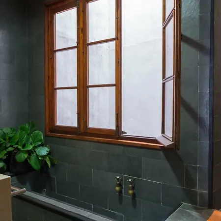Apartamento Duplex Con Hermosa Terraza Cerca Alameda De Hercules Seville